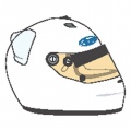 Arari-(Araihelmetsgp5f1)