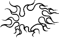 Grapx0156