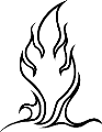 Grapx0159