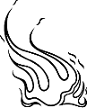 Grapx0163