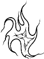Grapx0177