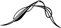 Grapx0179