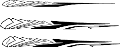 Grapx0355