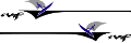 Grapx0362