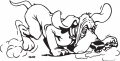 Dog----(misc1053.jpg)