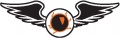 Eye-with-wings-(misc1138.jpg)