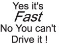 Yes-It-is-Fast-(misc126.jpg)