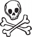 Skull---(misc77.jpg)