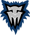 NBA-Minnesota-Timberwolves-(nab-min-99b)