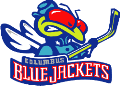 Columbus-Blue-Jackets-(nhl-cbj-00b)