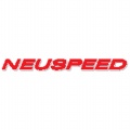 Neuspeed---(conversion124.jpg)