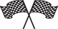 Checker-Flags-(RacingD5-3181.jpg)-
