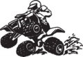 The-4-Wheeler-----(RacingD5-4_WHEELER_2.jpg)-