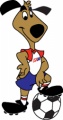 Striker-(Soccer-STRIKER.jpg)