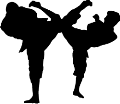 KARATE-(FIGHT)