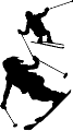 SKI15