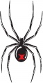 Black-Widow-Spider-(swapmeet965.jpg)