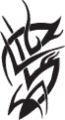 Tribal206