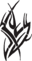 Tribal213