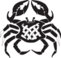 Tribal236