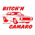Bitch-n-Camero----(bitchincamaro.jpg)